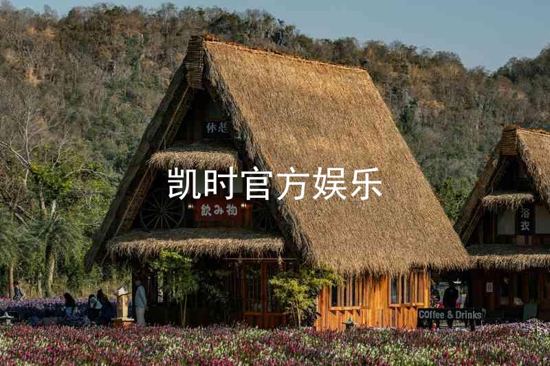 凯时官方娱乐