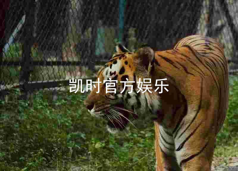 凯时官方娱乐
